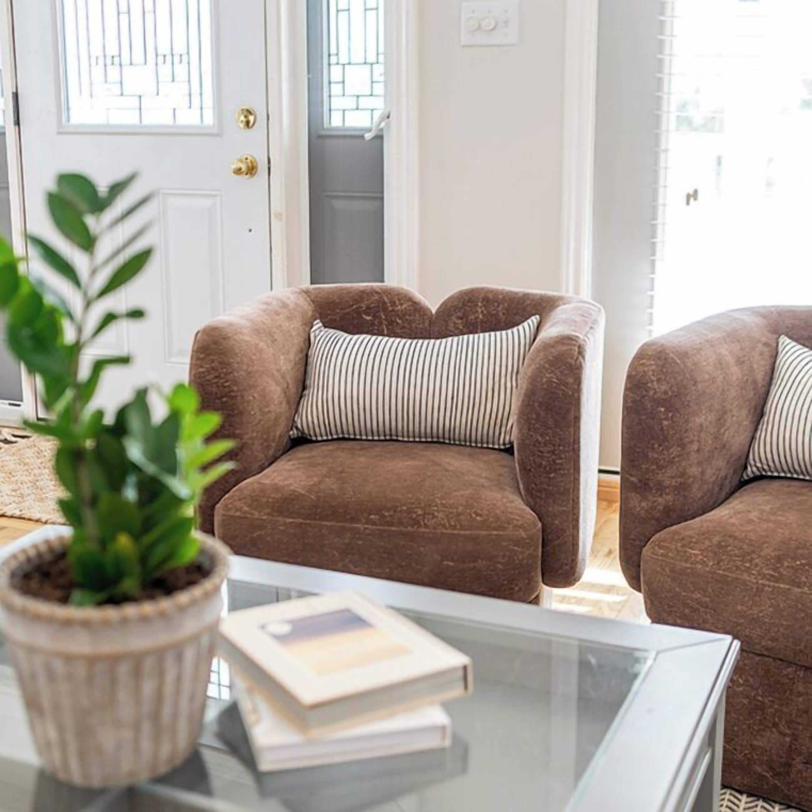 A brown armchair with a striped pillow, a glass coffee table with books, and a potted plant.