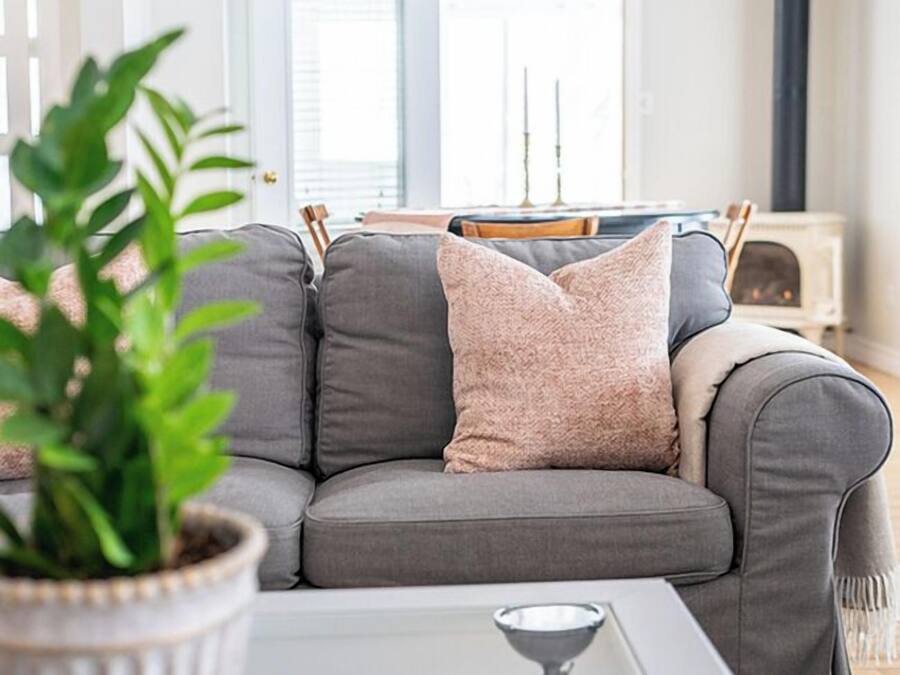 Un salon moderne avec un canapé gris, une plante en pot et une table basse blanche.