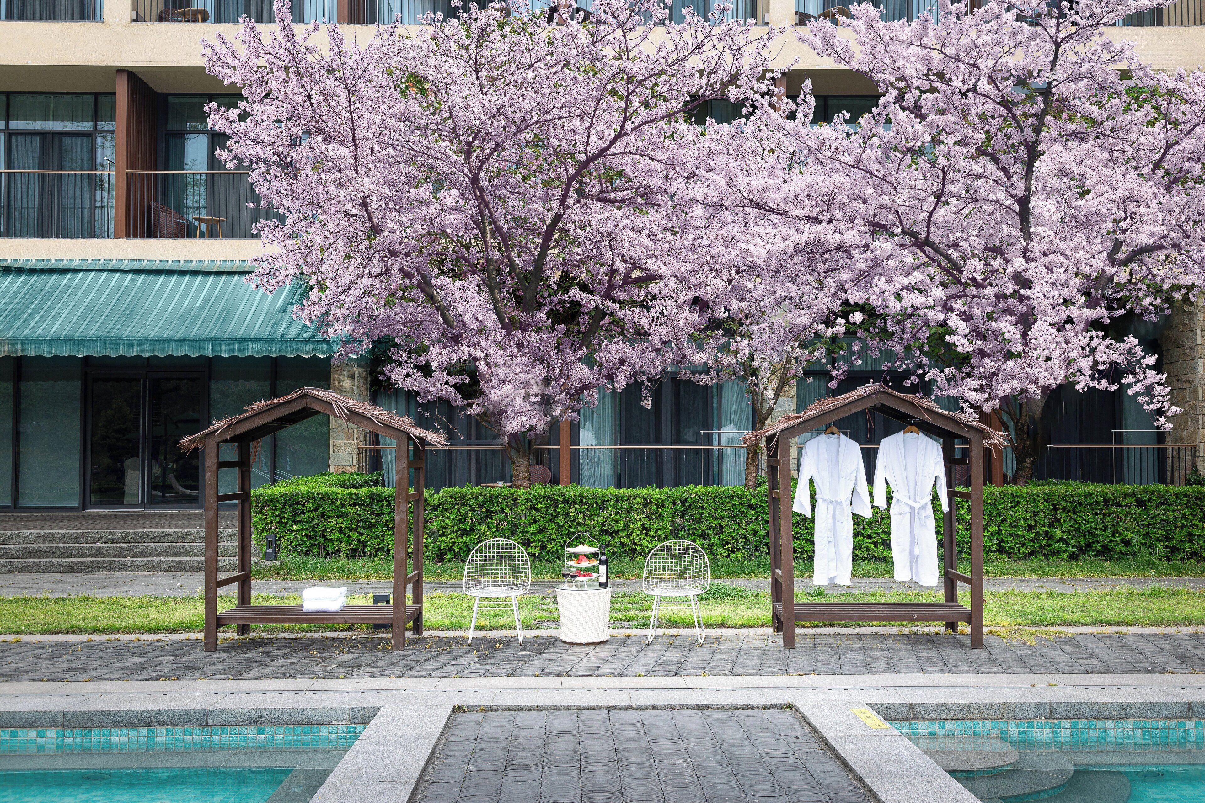 Un espace aménagé au bord de la piscine, avec un cerisier en fleurs, deux chaises blanches, une petite table sur laquelle se trouvent une bouteille et un verre, et deux petits kiosques en bois où sont suspendues des robes blanches.