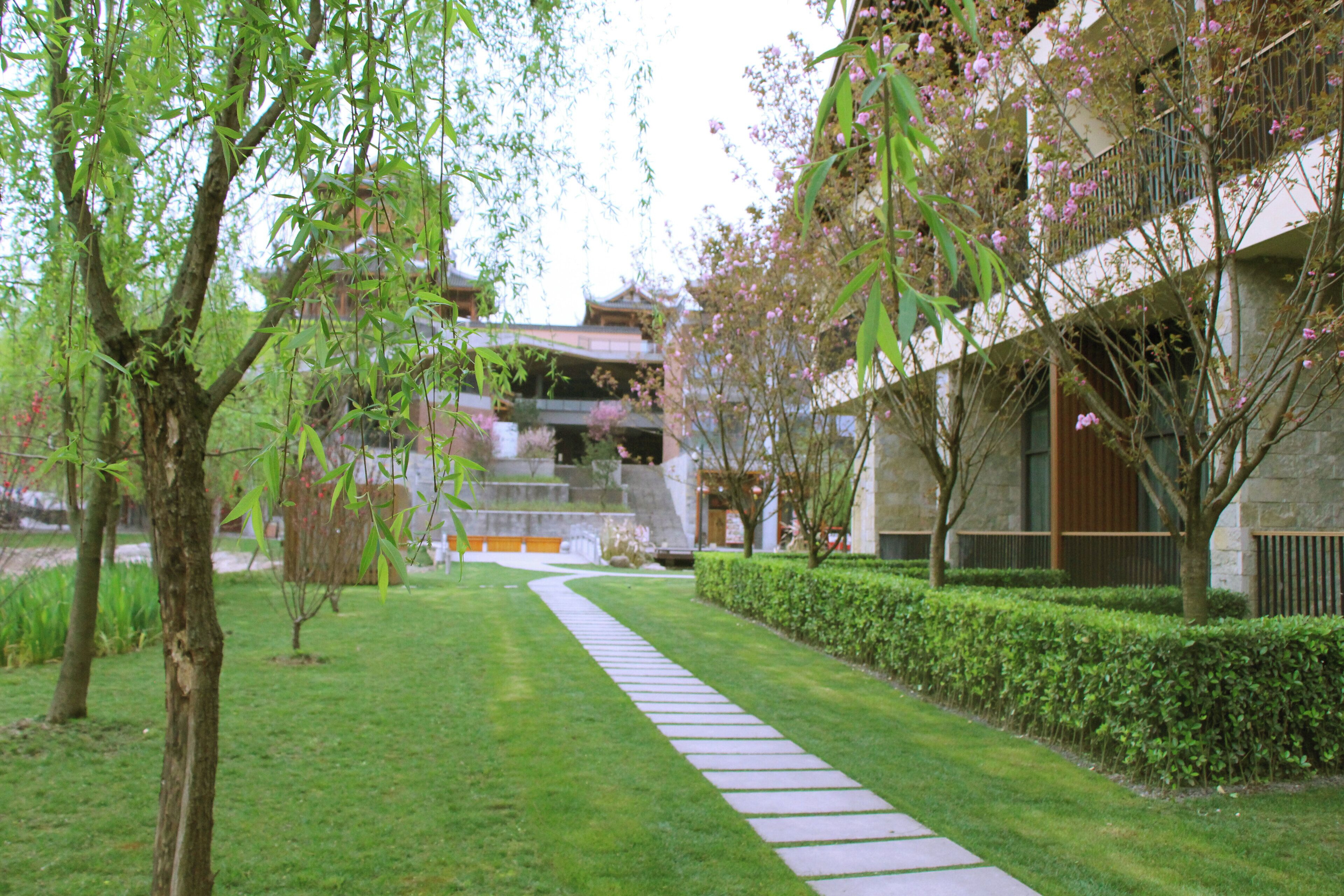 Un camino conduce a un edificio tradicional con una extensión moderna, rodeado de follaje y árboles en flor.