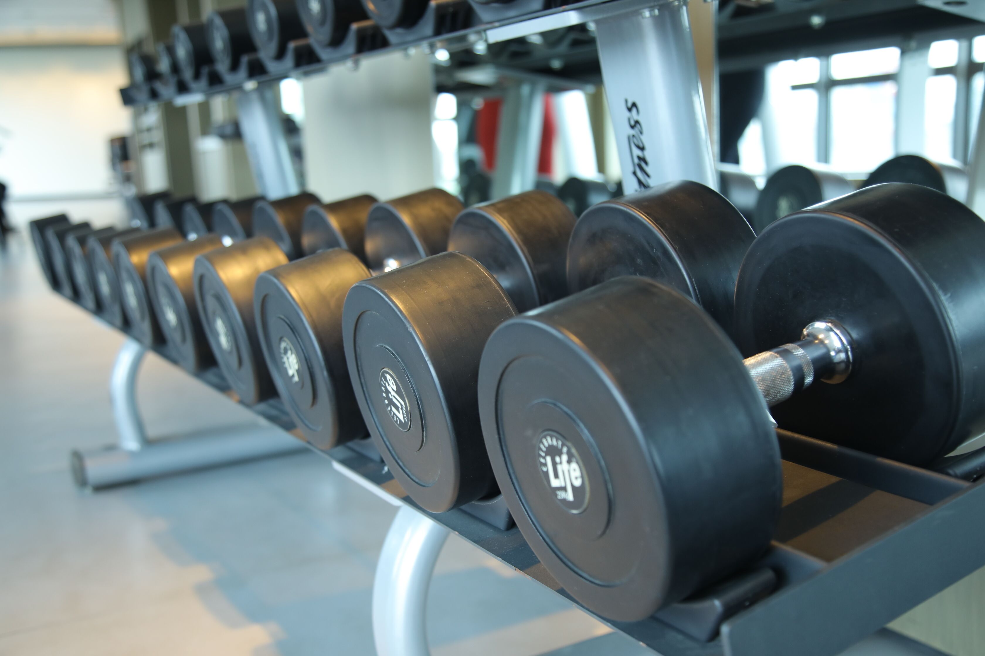 Una fila de mancuernas negras en un estante dentro de un gimnasio.