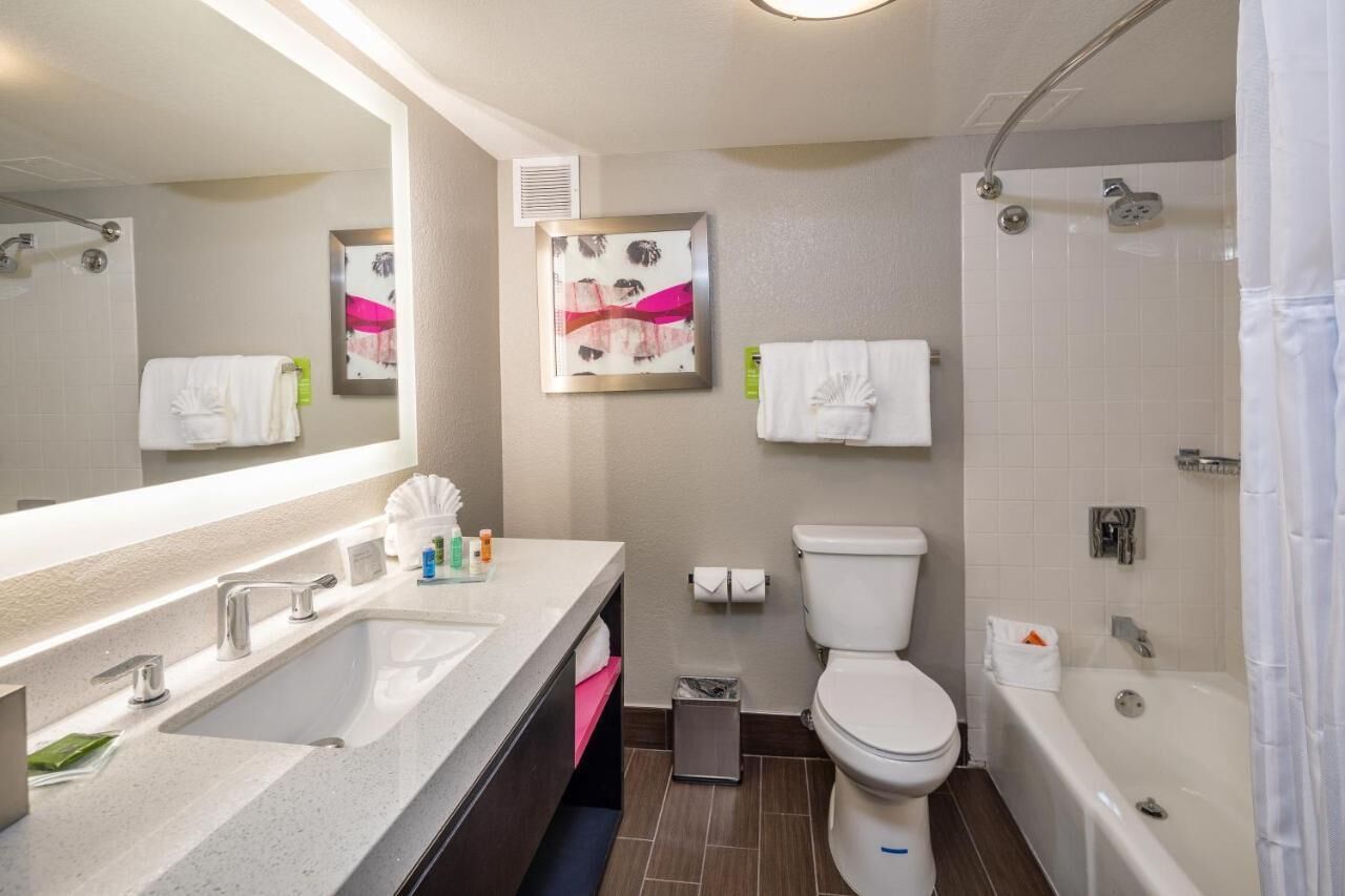 combined shower/bathtub, free toiletries, hair dryer, towels