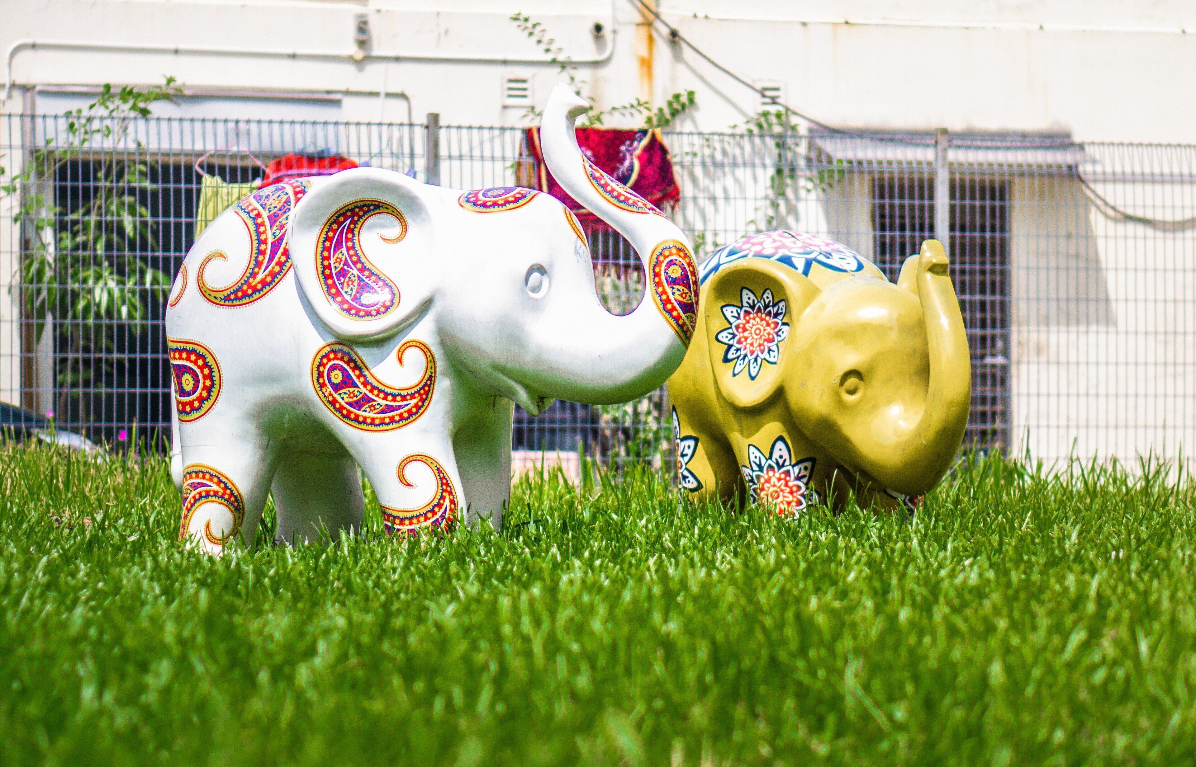 Photo - Holiday Inn Singapore Little India by IHG