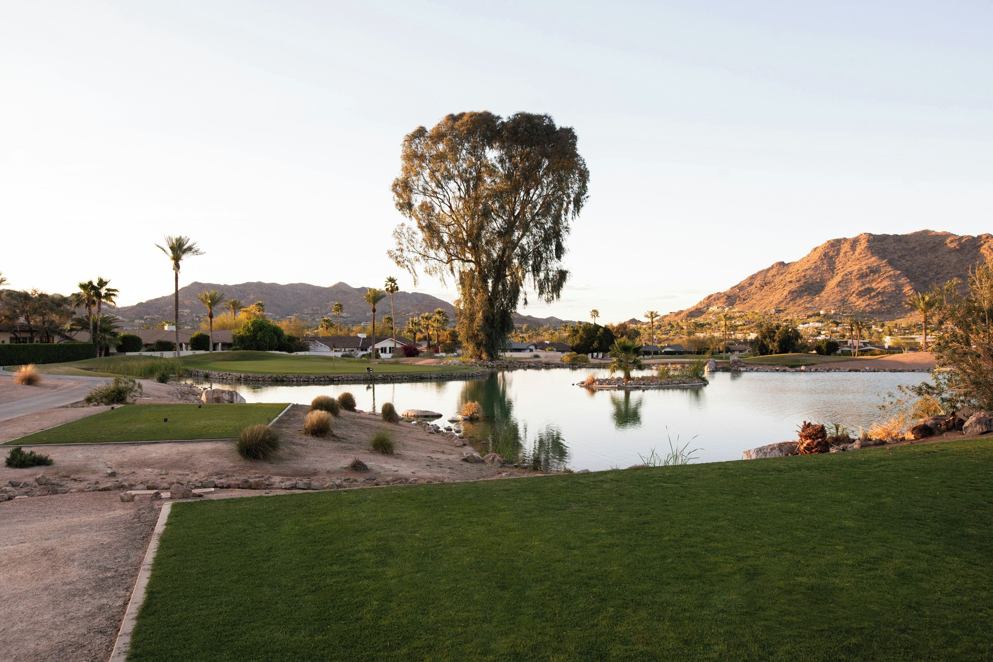 A golf course with a pond, palm trees, and a mountain in the background.