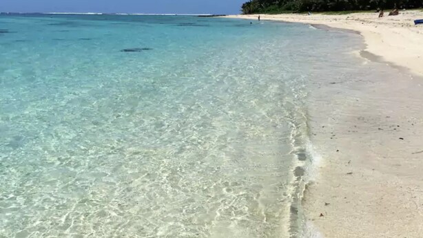 Una platja amb aigua turquesa cristal·lina, sorra blanca i una filera de palmeres al fons.
