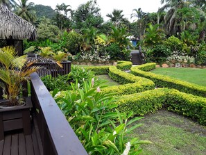 Vista desde la habitación