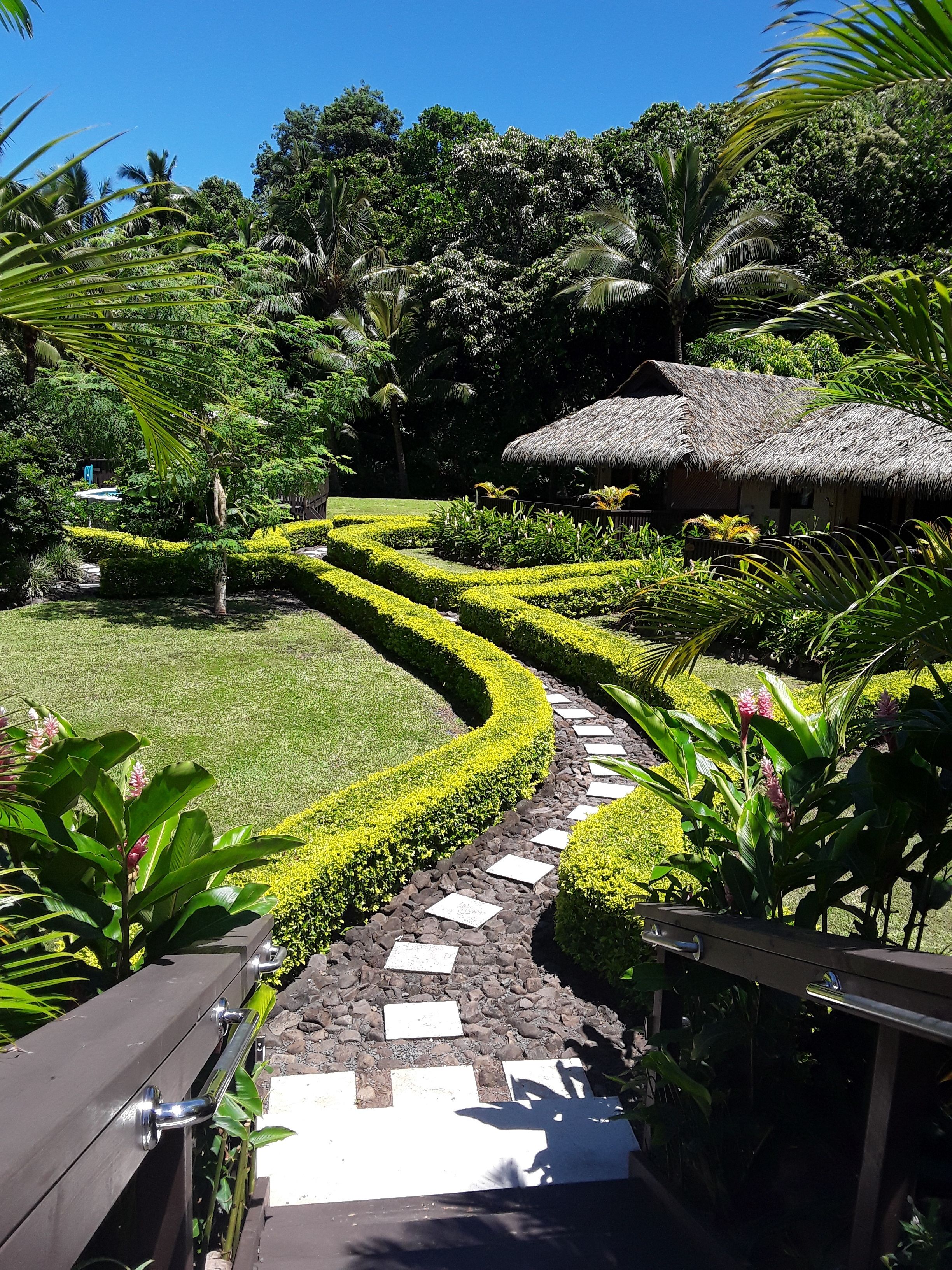 A garden pathway leading to a thatched-roof structure surrounded by lush greenery and well-maintained hedges.