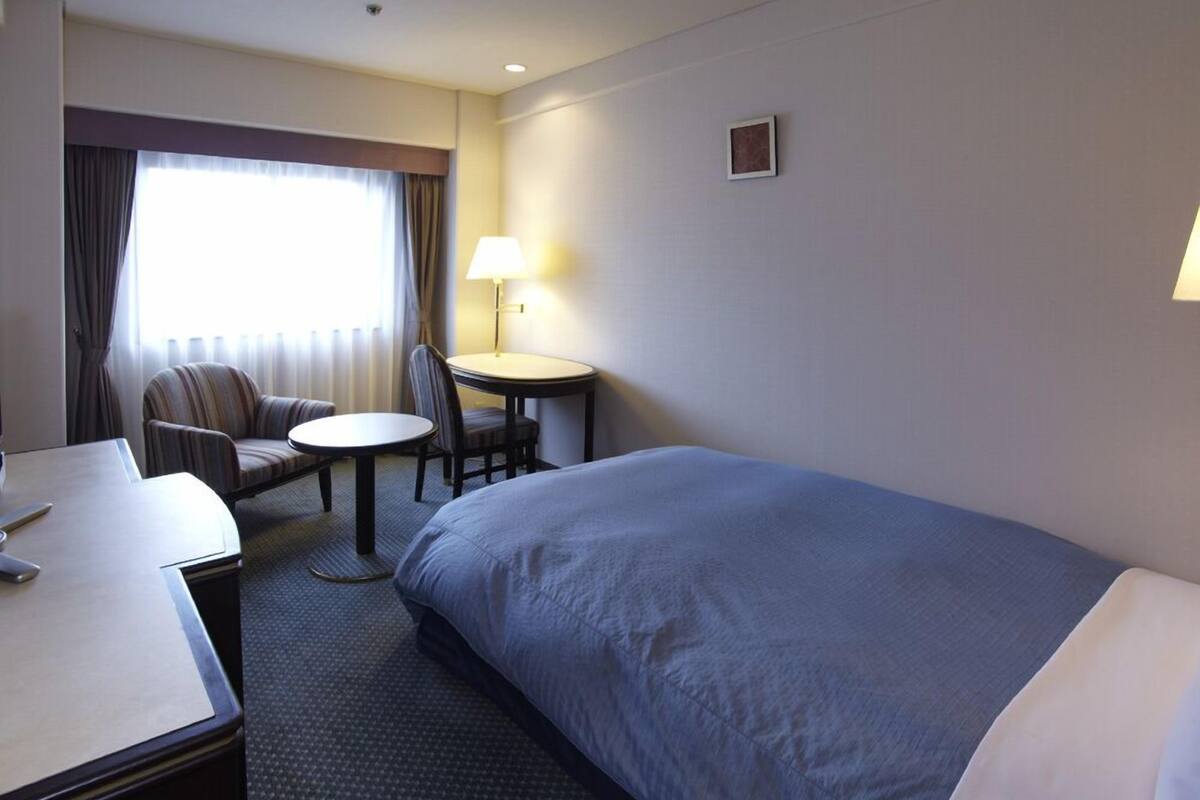 economy double room | desk, iron/ironing board, rollaway beds, free wifi