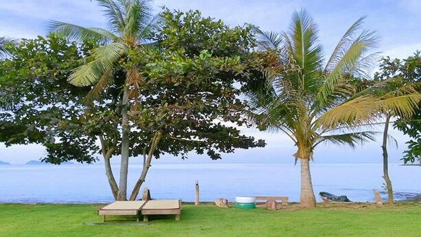 Un espacio cubierto de césped con un banco, palmeras y vista al mar.
