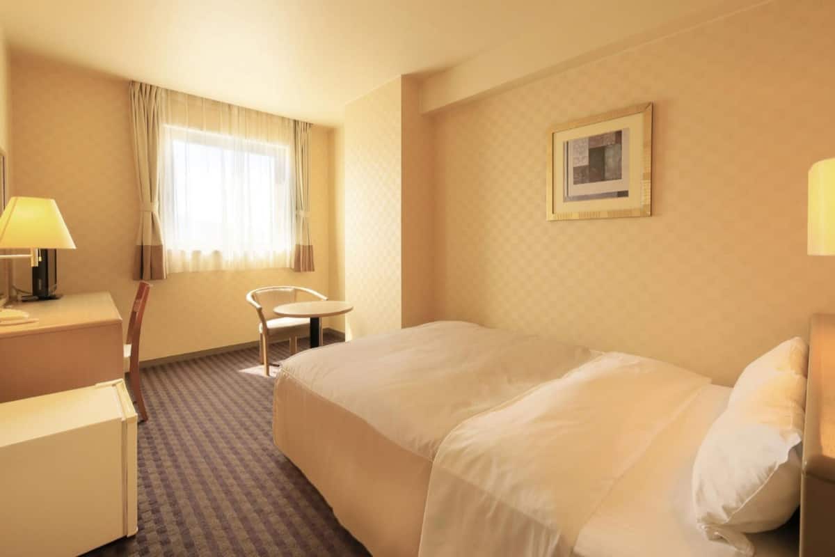 Basic Double Room | Desk, blackout curtains, iron/ironing board (on request), free WiFi