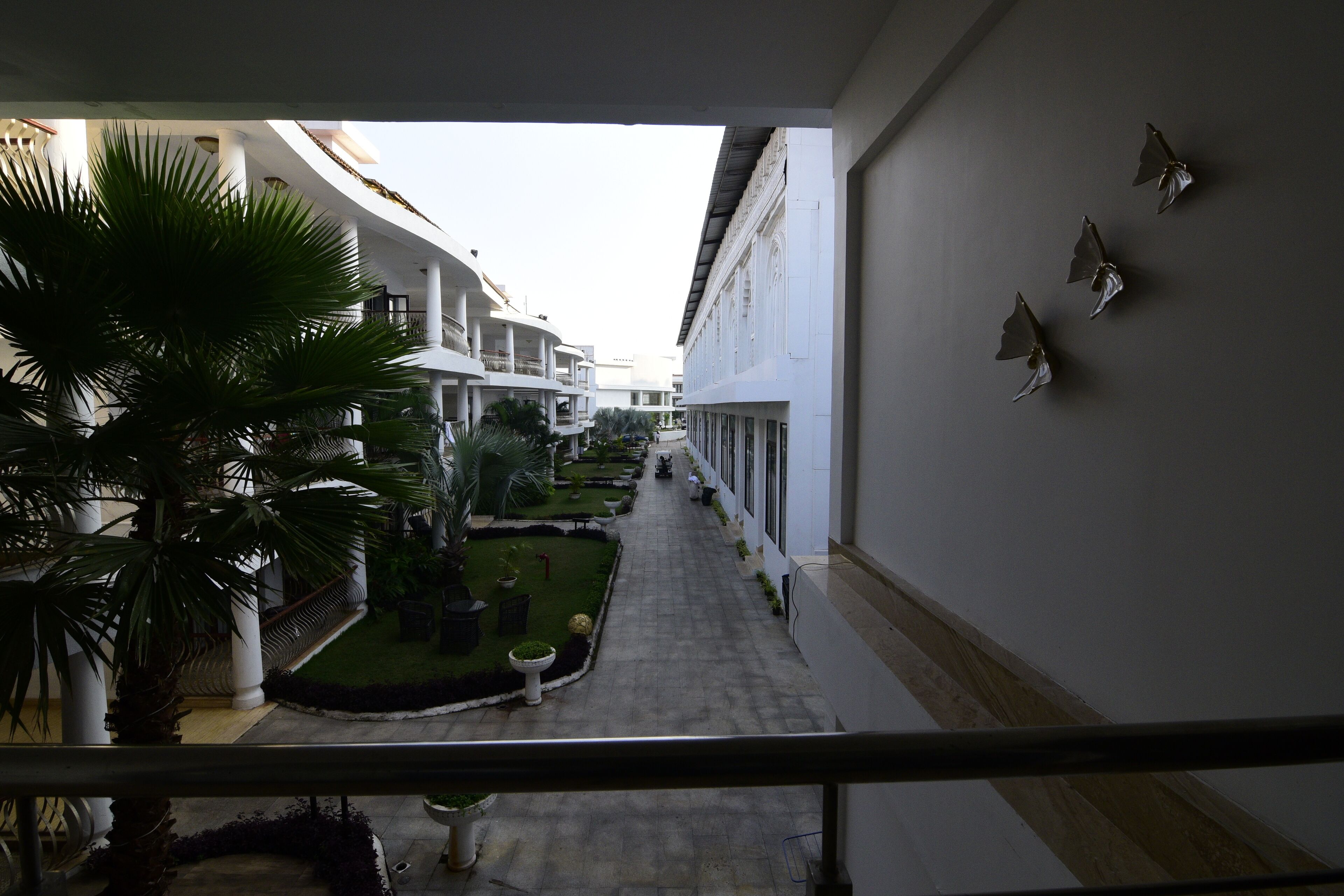 A corridor with a central pathway flanked by white buildings, palm trees, and a small garden area.