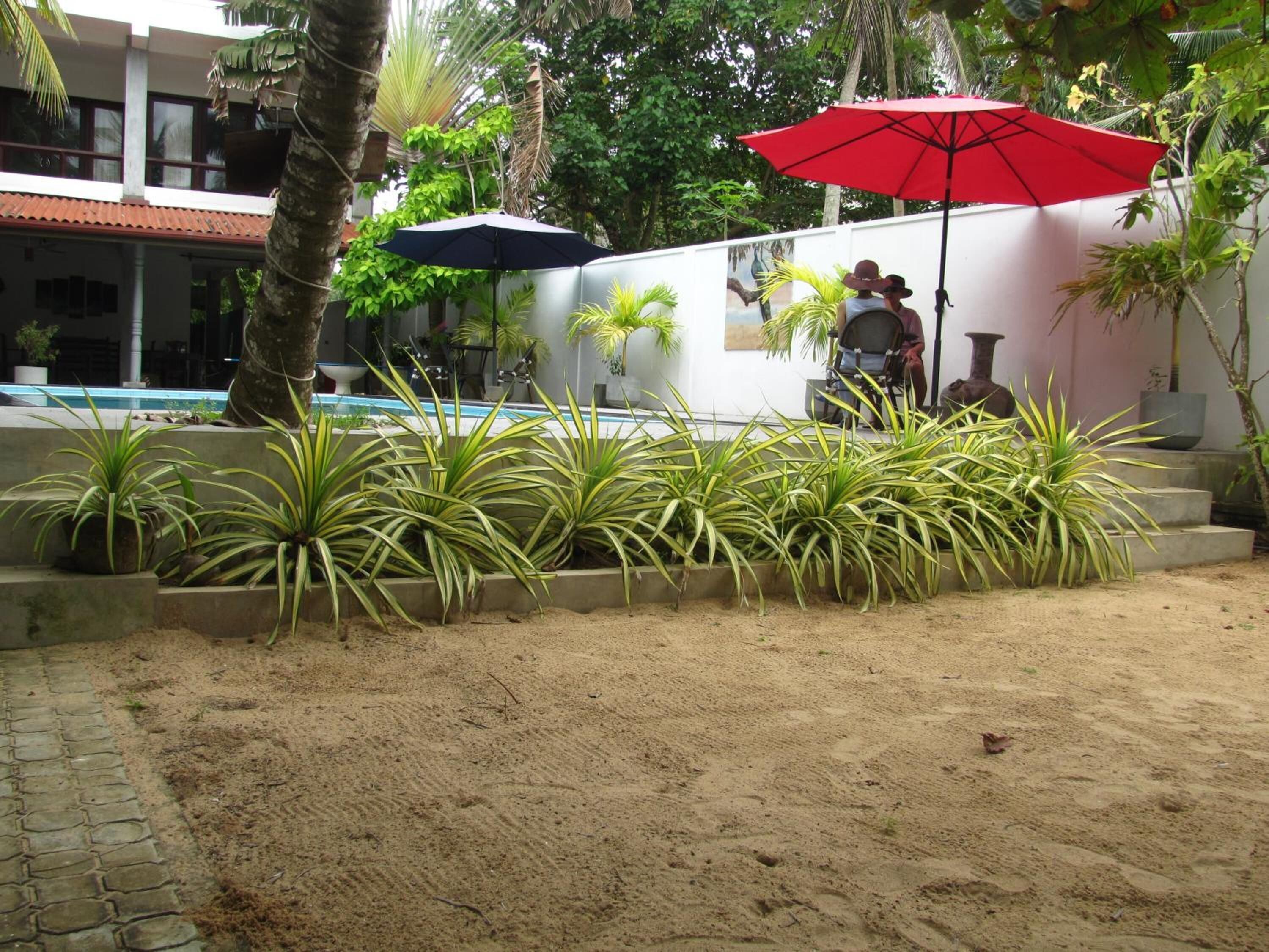 A garden area with potted plants, a pool, and umbrellas.