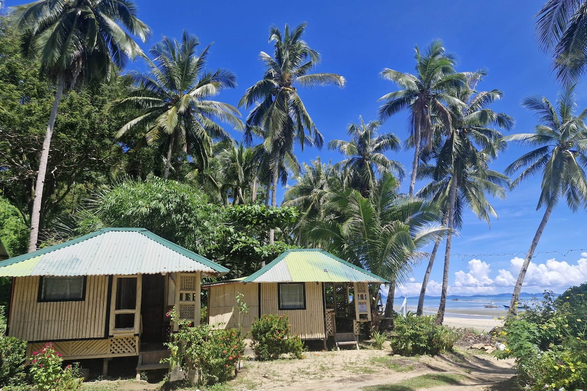 A beachside bungalow with a corrugated metal roof, surrounded by lush palm trees and a clear view of the ocean.