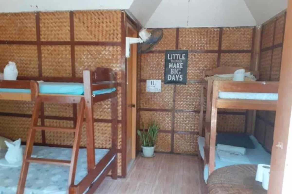 A room with bunk beds, a potted plant, and a motivational sign on the wall.