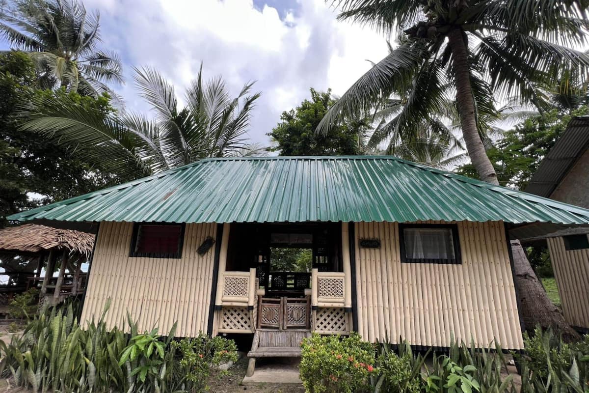 A small, single-story building with a green corrugated metal roof, surrounded by tropical vegetation and palm trees.