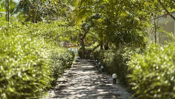Vue sur le jardin