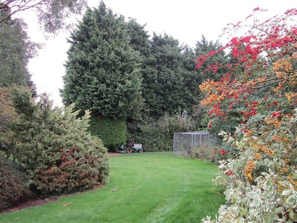 A well-maintained garden with a variety of trees and shrubs, a lawn, and a small shed.
