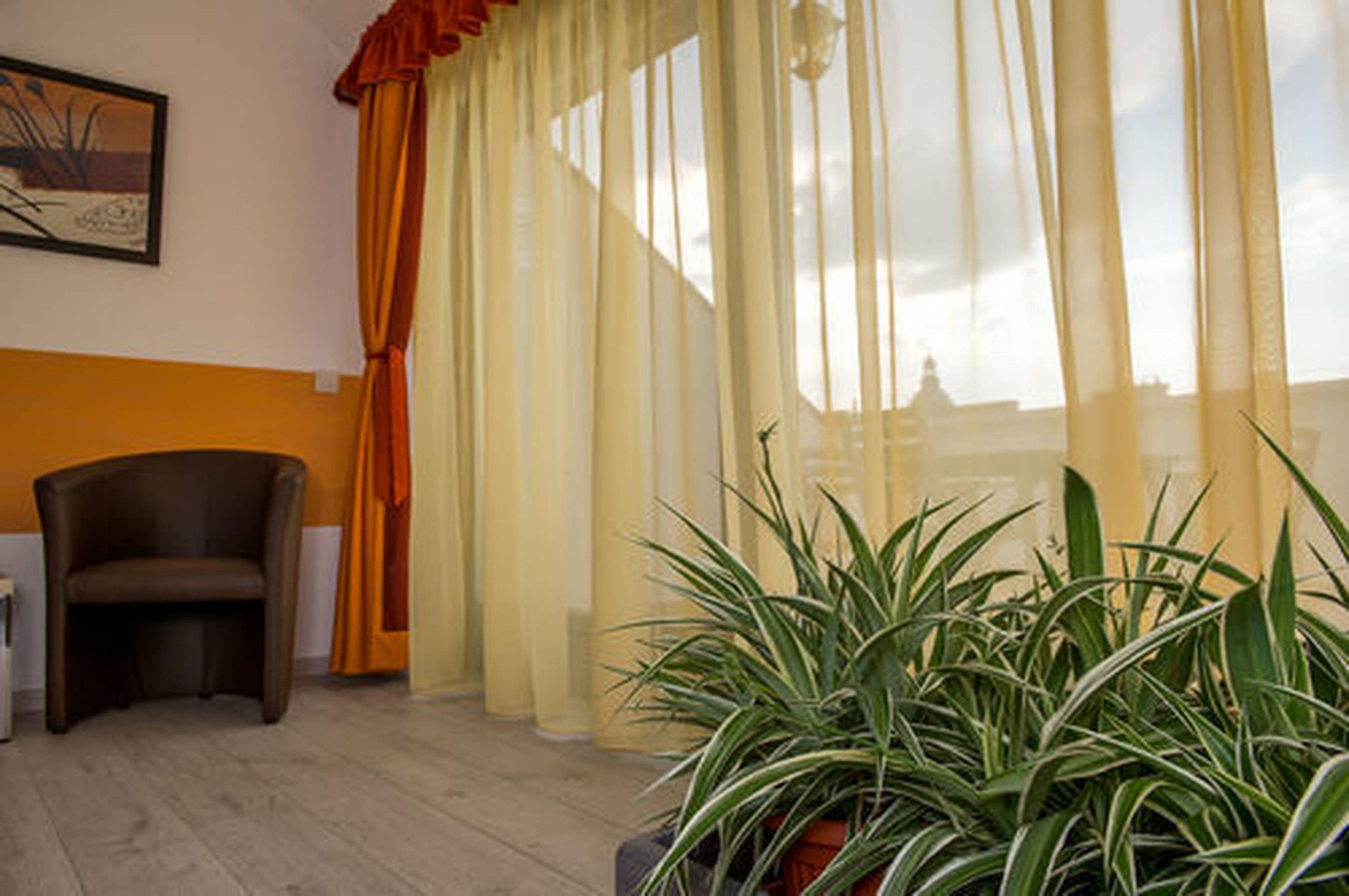 Una habitación con vistas a un templo, cortinas translúcidas, una planta en maceta y un sillón marrón.