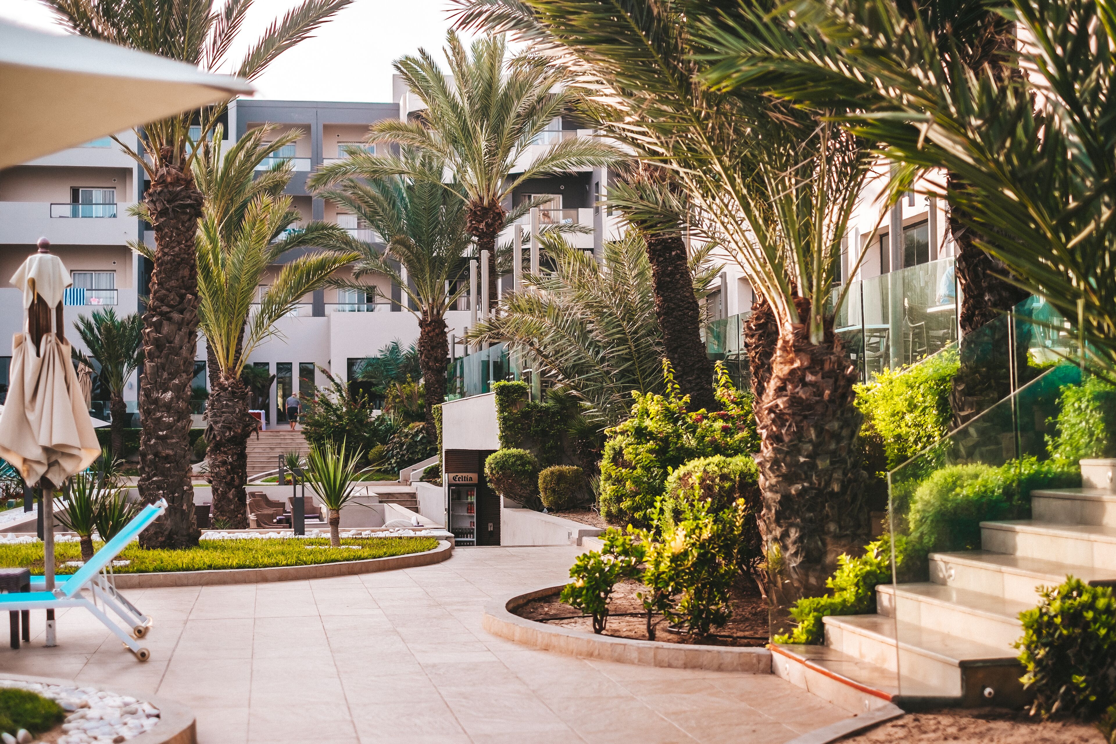Un patio de resort con palmeras, zona de piscina y un edificio con balcones.