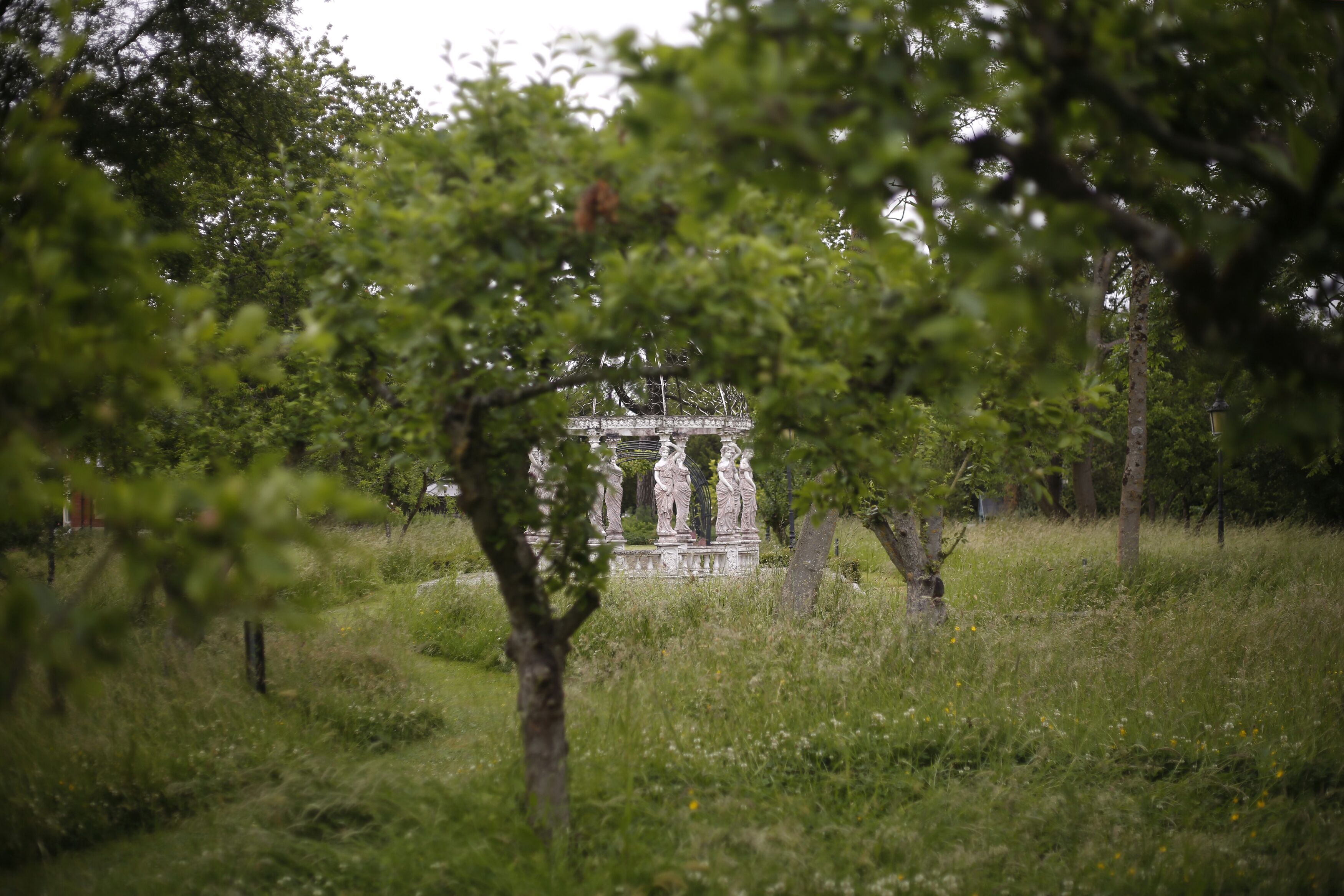 A historical building with classical architecture, surrounded by lush greenery and trees.