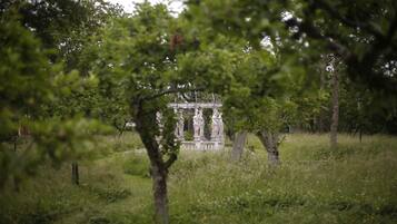 A historical building with classical architecture, surrounded by lush greenery and trees.