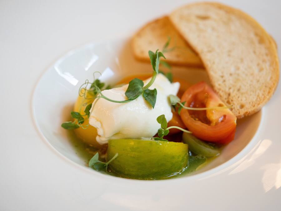 A plate with a poached egg, a slice of tomato, a piece of bread, and some greens.