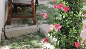 A wooden bench outside a building with a climbing plant with pink flowers. - Gelsomino Rooms Ravello (Ravello)