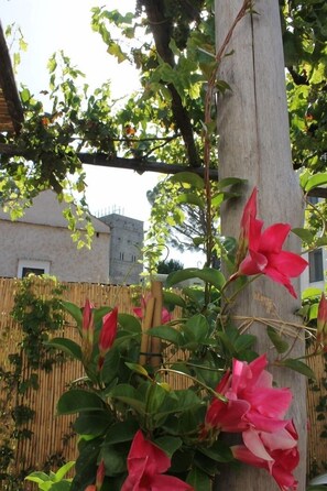 Un jardin agrémenté d’une treille en bois sur laquelle grimpent des plantes et s’épanouissent des fleurs.