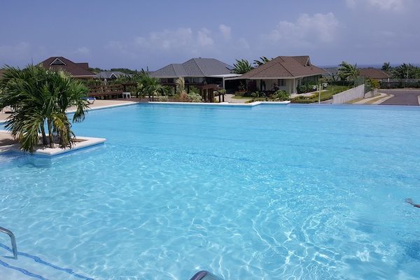 Outdoor pool, pool umbrellas, pool loungers