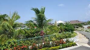 Vista desde la propiedad