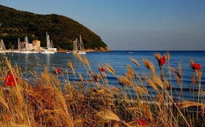 Un port de plaisance situé sur la côte, avec des bateaux amarrés, entouré d ’herbes sèches et avec une colline en arrière-plan.