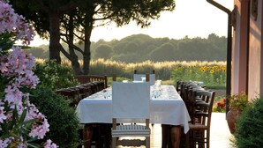 An outdoor dining area with a long table set for a meal, surrounded by chairs and potted plants. - Agriturismo Villa Toscana (Campiglia Marittima)
