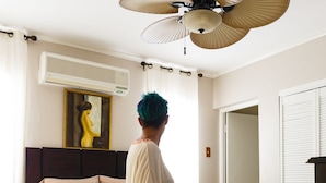 A bedroom with a bed, a ceiling fan, a painting, and a bedside table.