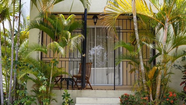 A building with a covered porch, palm trees, a chair, and a small garden with red flowers.