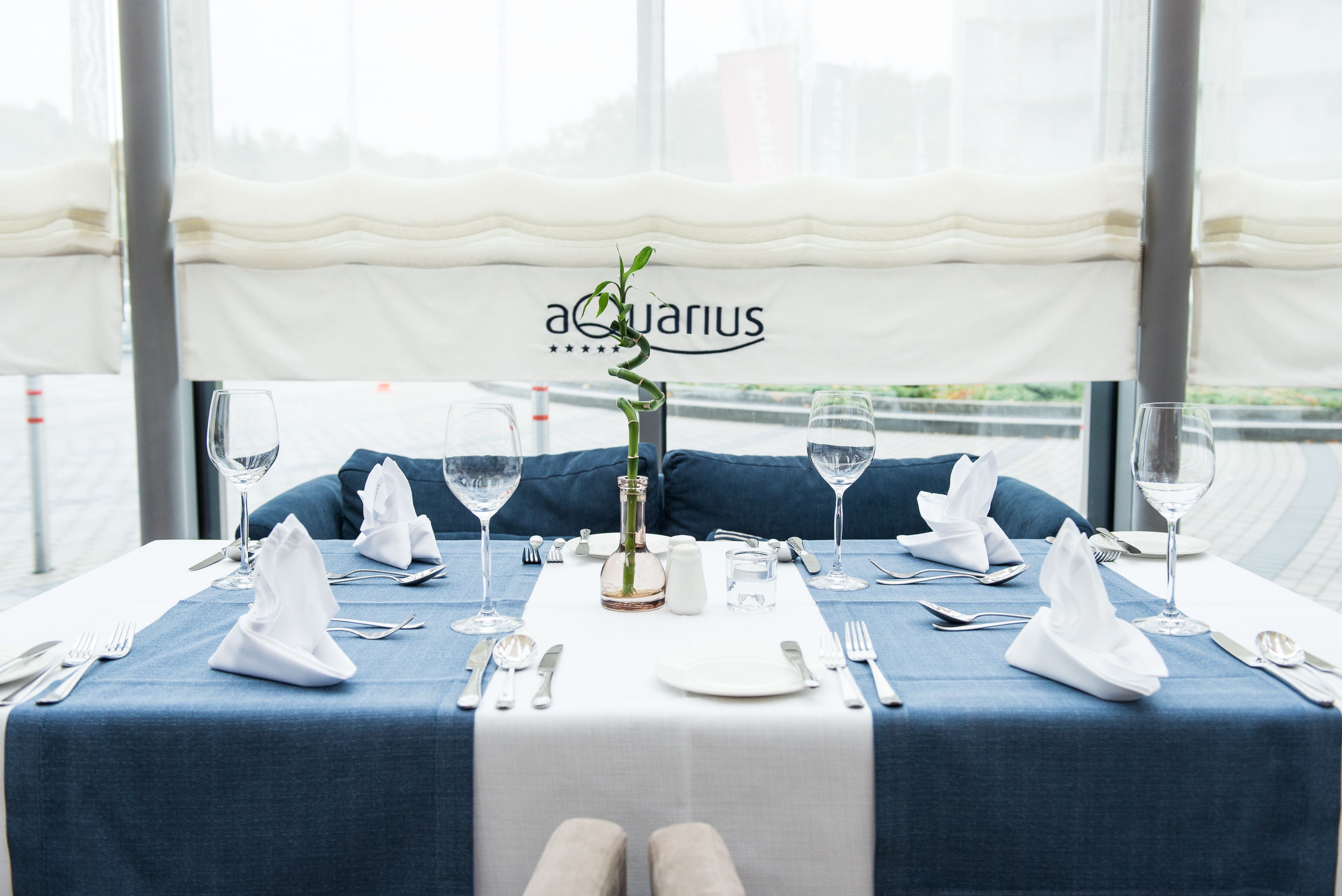 A table set for two with a blue tablecloth, white napkins, and a vase with a green plant.