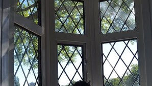 A vase with flowers on a windowsill.