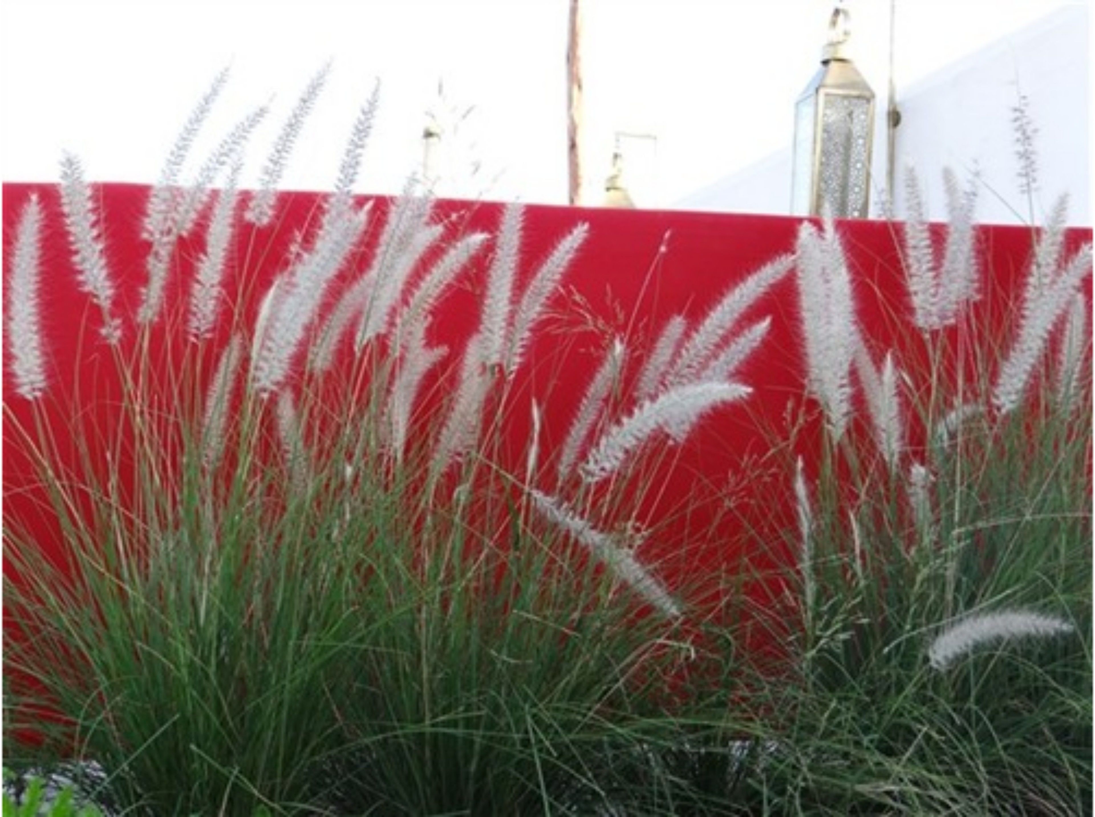 Foto - Riad Jardin Des Sens & Spa