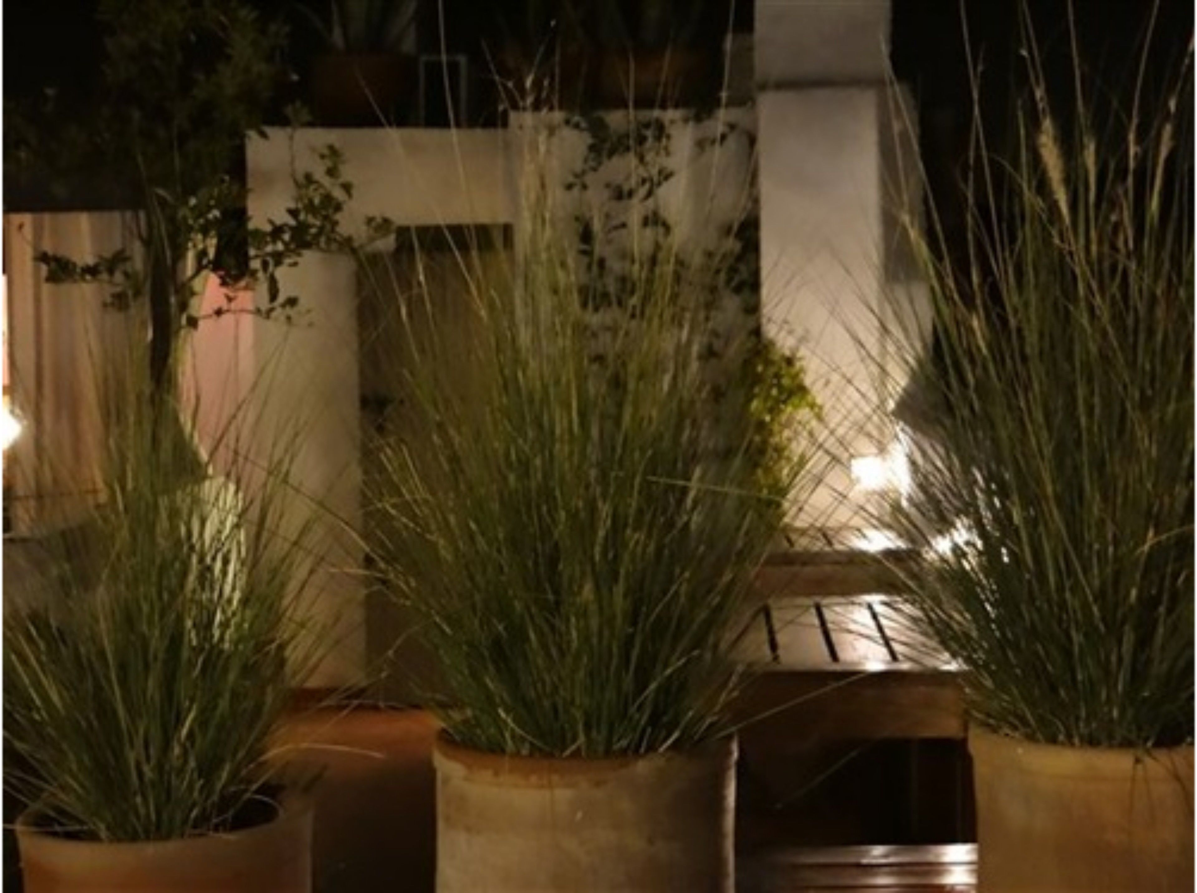 Foto - Riad Jardin Des Sens & Spa