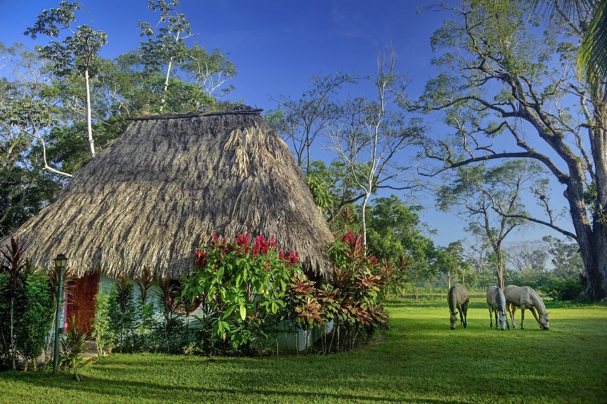 Traditional Cabin, 2 Bedrooms, Non Smoking, Garden View | 1 bedroom, desk, bed sheets
