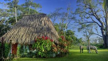 Cabaña tradicional, 2 habitaciones, no fumadores, vistas al jardín | 1 dormitorio, escritorio, ropa de cama