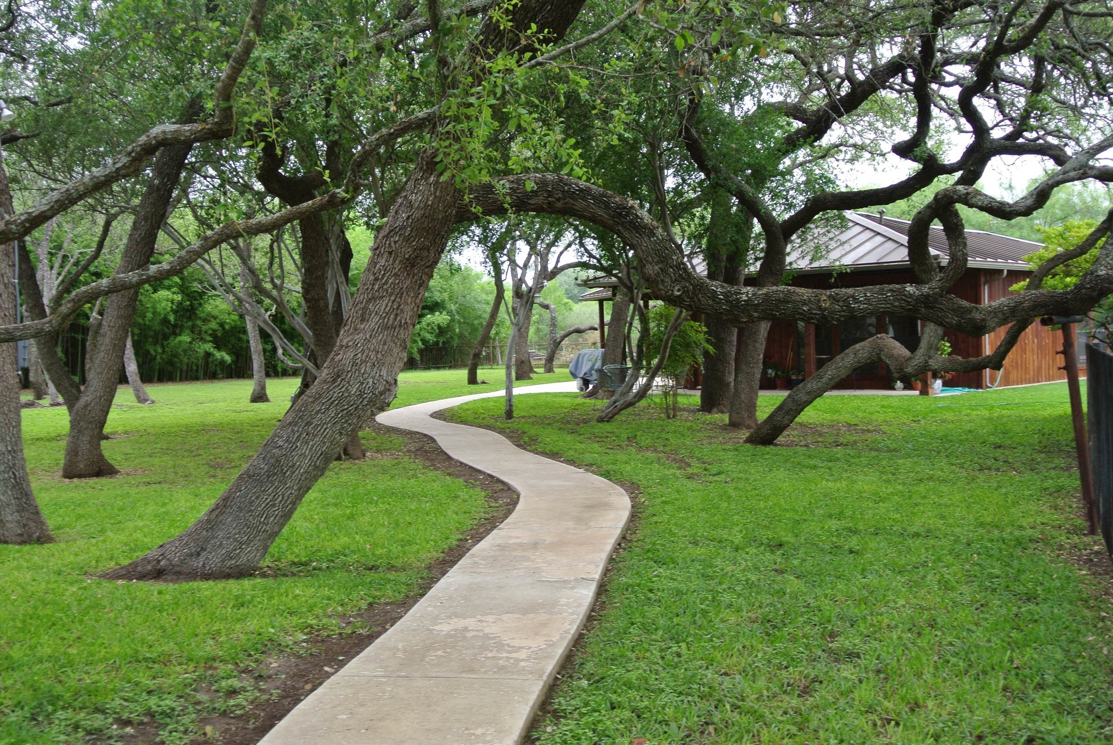 Un chemin de béton serpente à travers une zone herbeuse, bordée de grands arbres, avec un bâtiment en bois en arrière-plan.