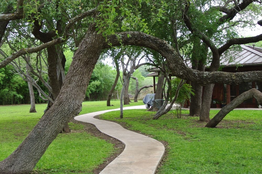 Live Oaks Bed and Breakfast - Frio River, TX