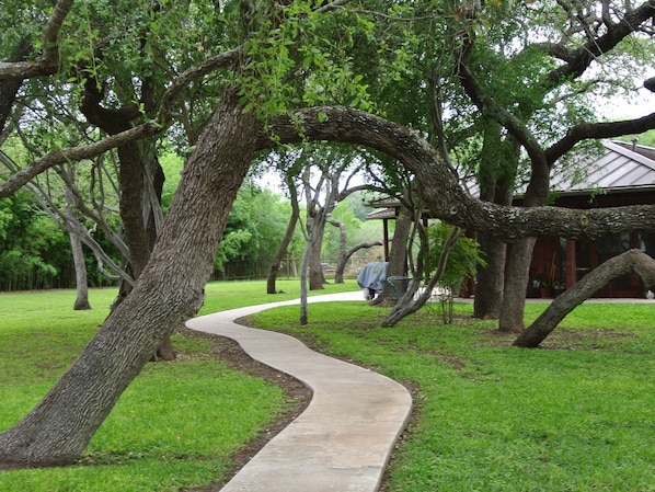 View from property - Live Oaks Bed and Breakfast (Uvalde)