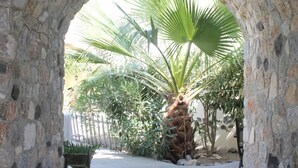 Property grounds - Belair (Santorini)