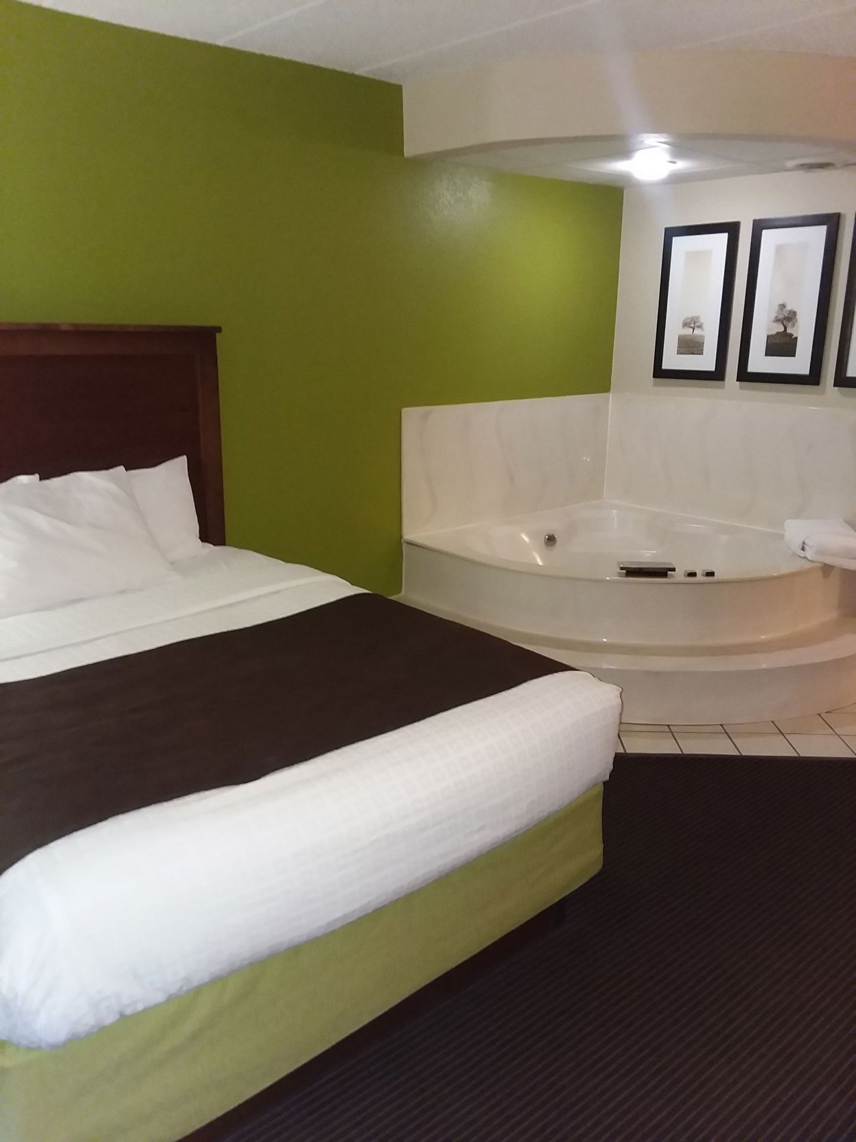 Desk, blackout drapes, iron/ironing board, rollaway beds