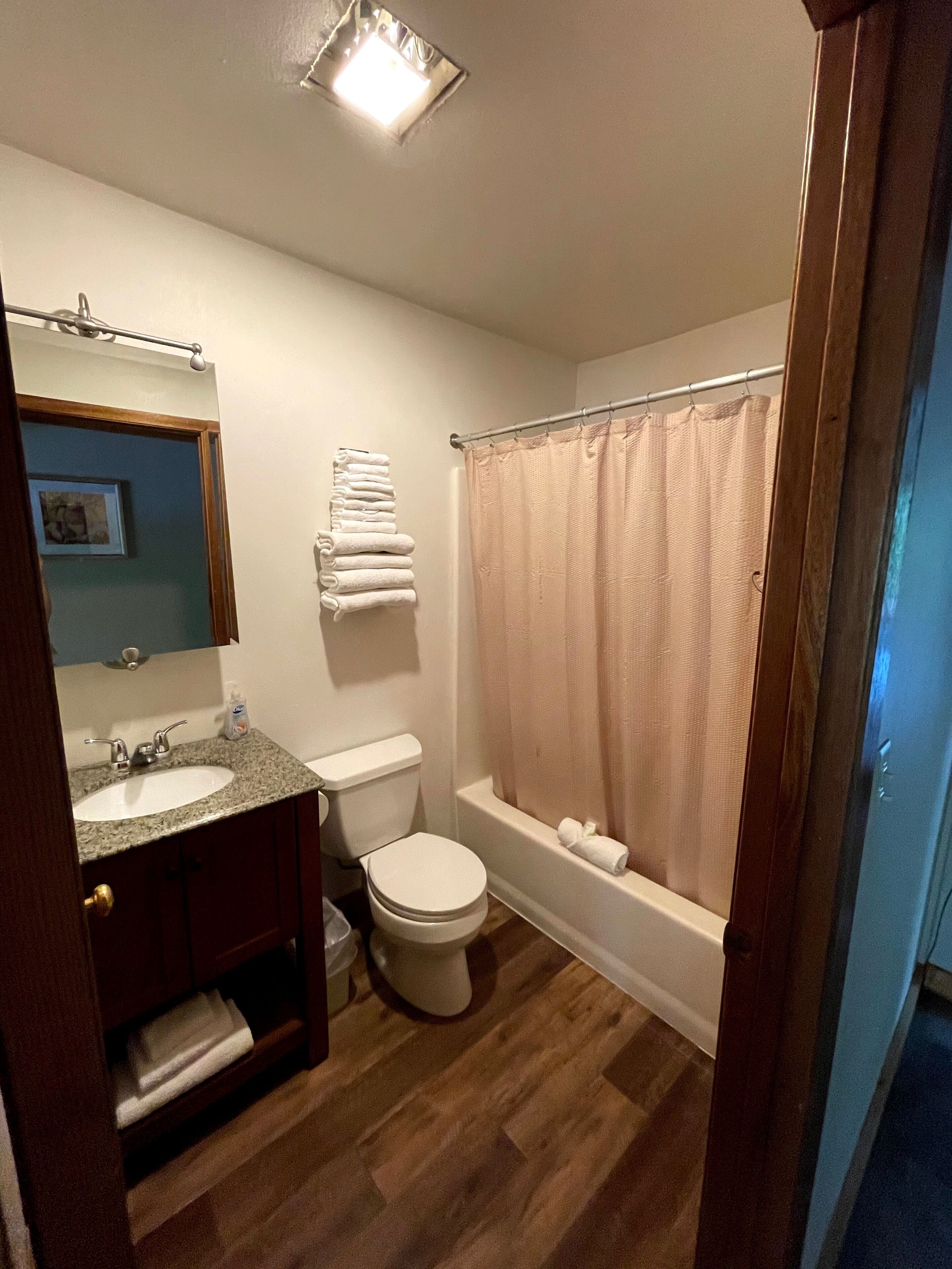 combined shower/bathtub, free toiletries, hair dryer, towels