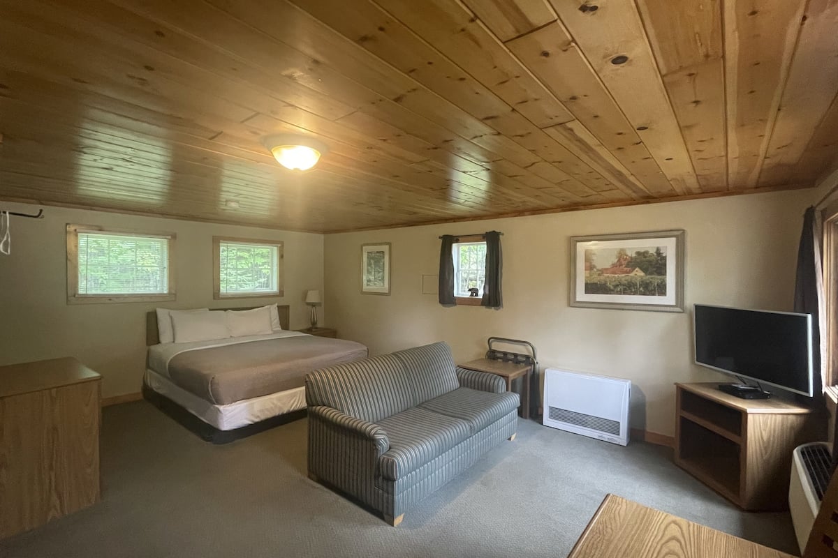 A cozy room with a bed, a sofa, a television, and a heater.