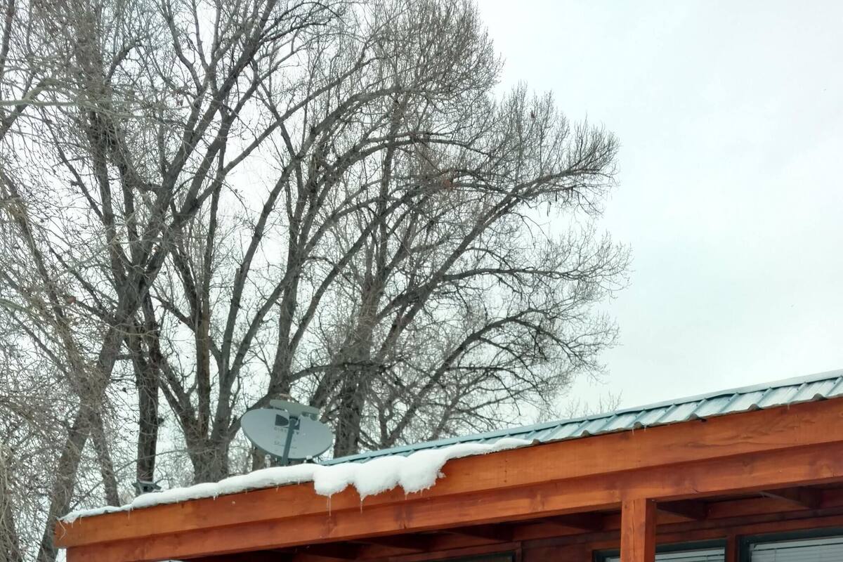 A wooden cabin with a porch, a door marked '40', and a window.