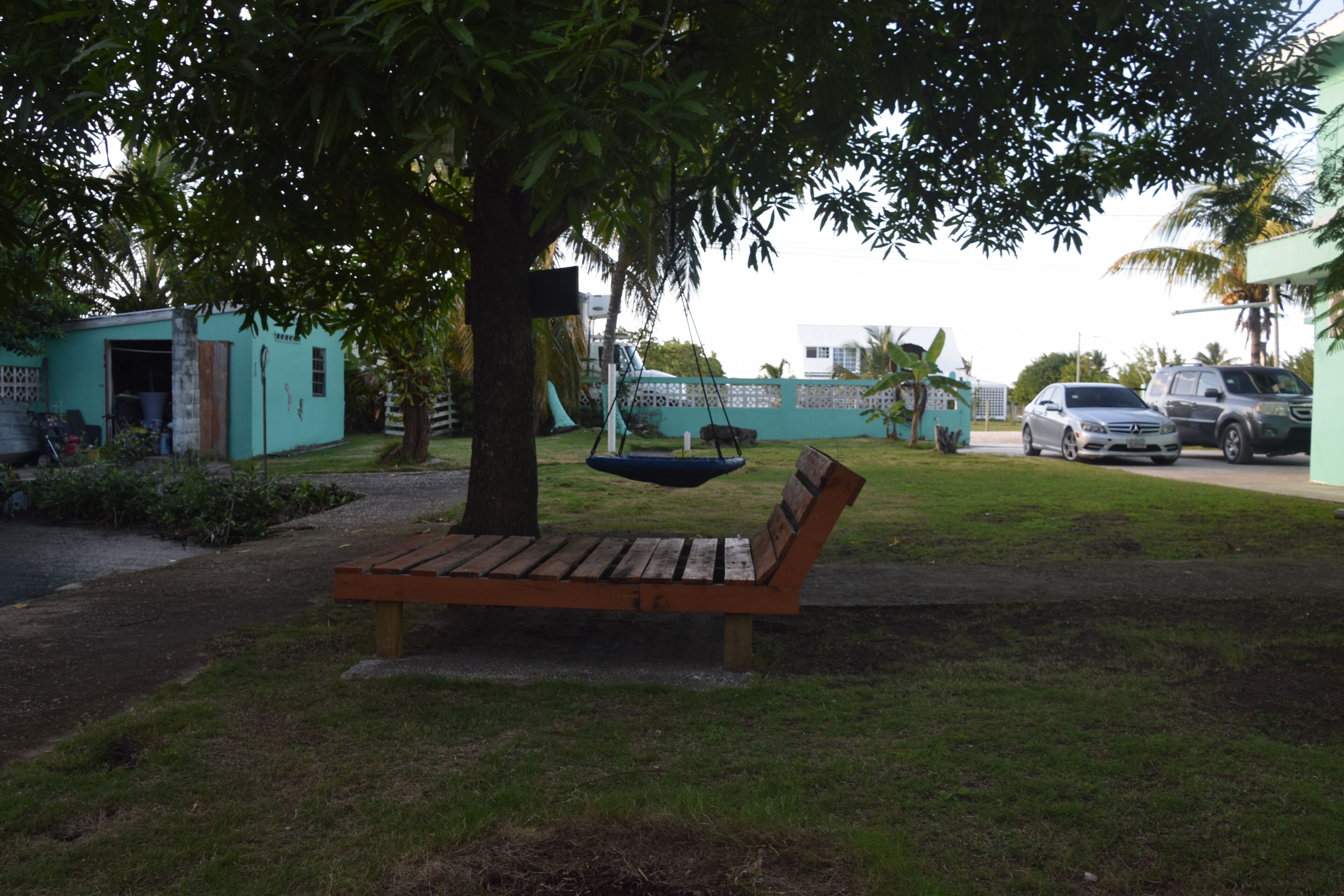 A park bench under a tree with a hanging swing, surrounded by greenery and a building in the background.