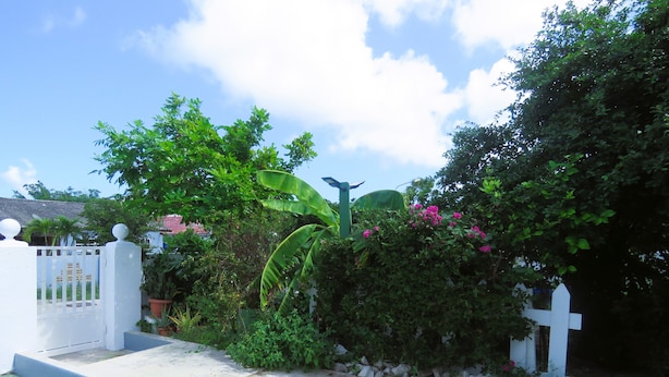Jardín